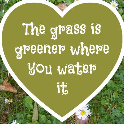 The grass is greener where you water it