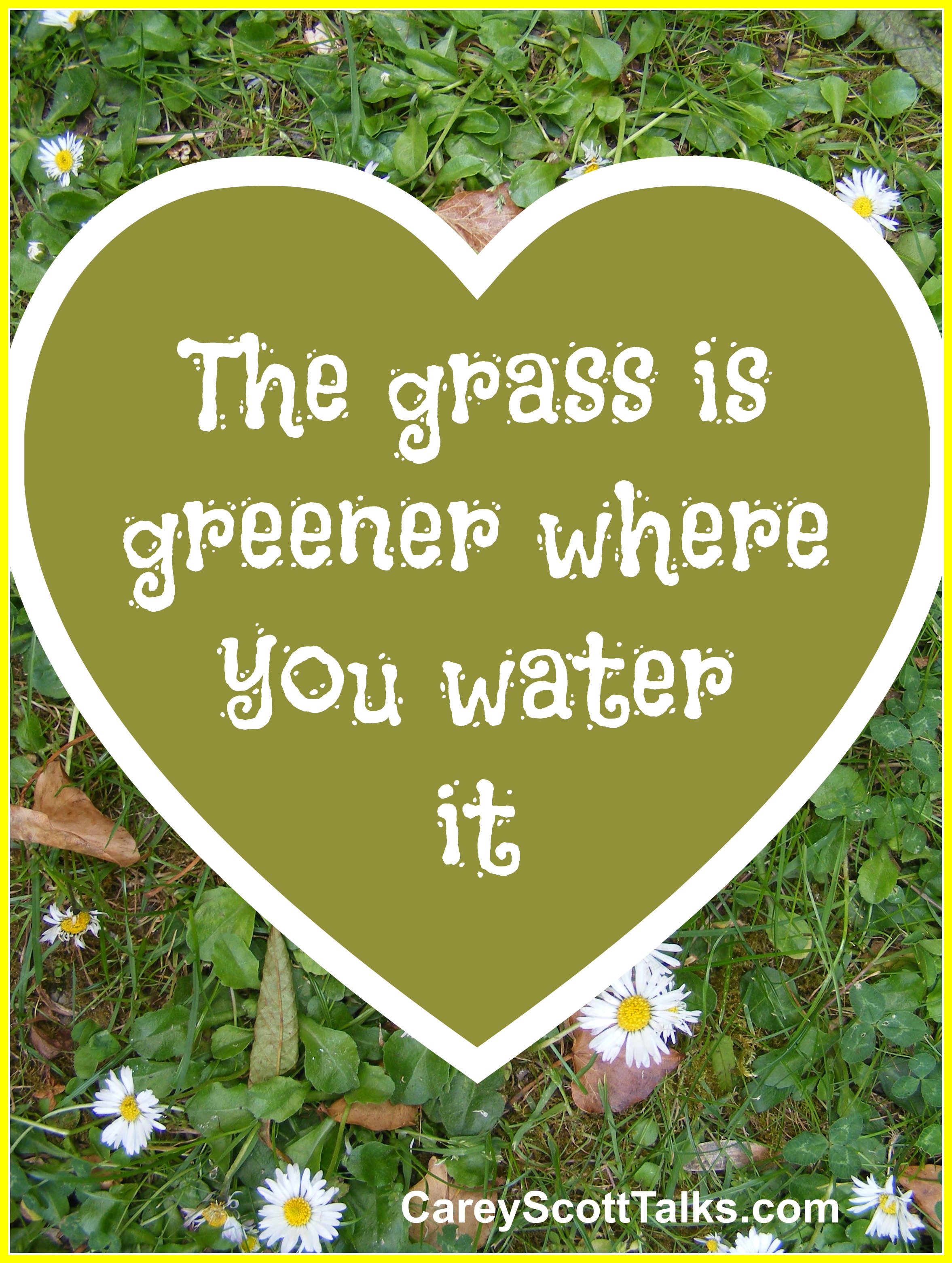 The Grass Is Greener Where You Water It Carey Scott