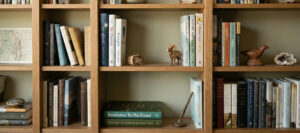 Books by Carey Scott